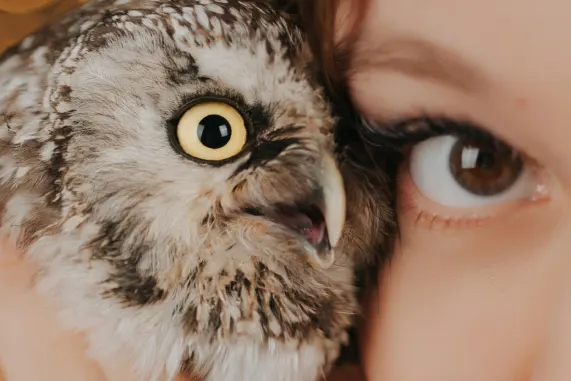 Tusk Casino Supporto